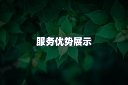 服务优势展示
